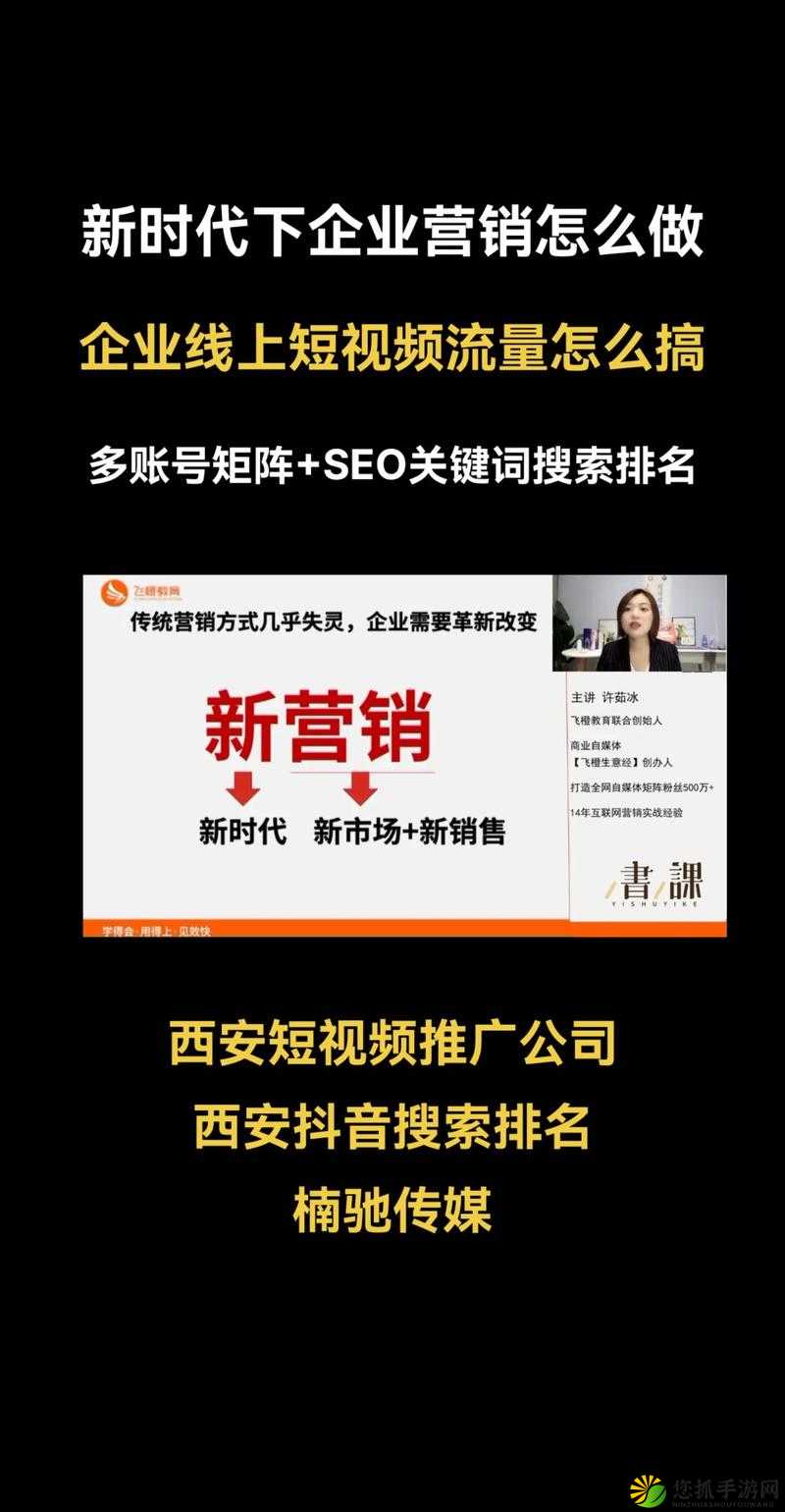 SEO 短视频网页入口网站推广：助力流量增长