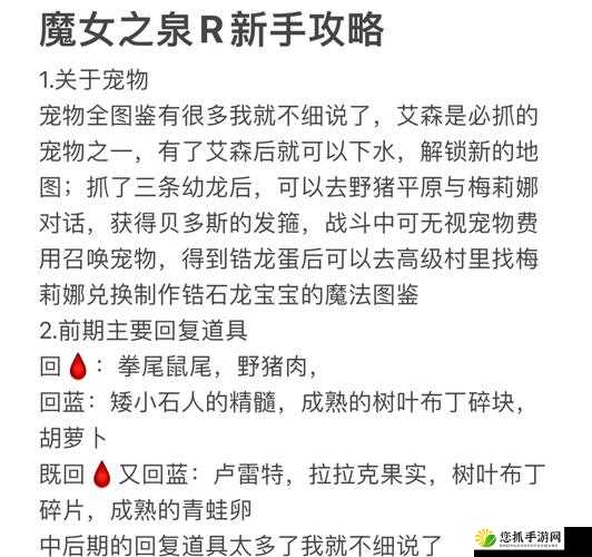 魔女之泉3游戏中必杀技与最高魔法获取及学习途径详解