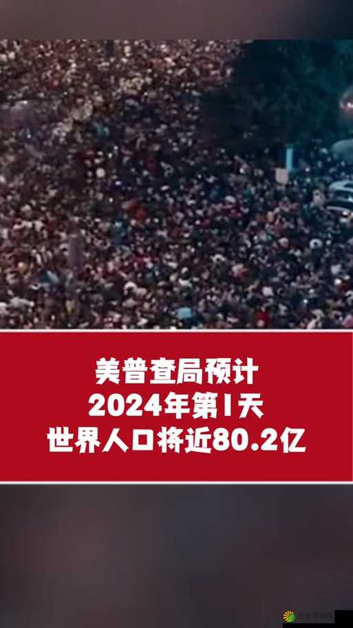 2024 年免费 b 站人口：探寻未来在线娱乐新趋势