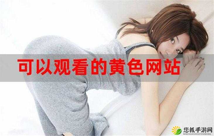 深夜求网站 2019：探寻神秘未知的在线世界