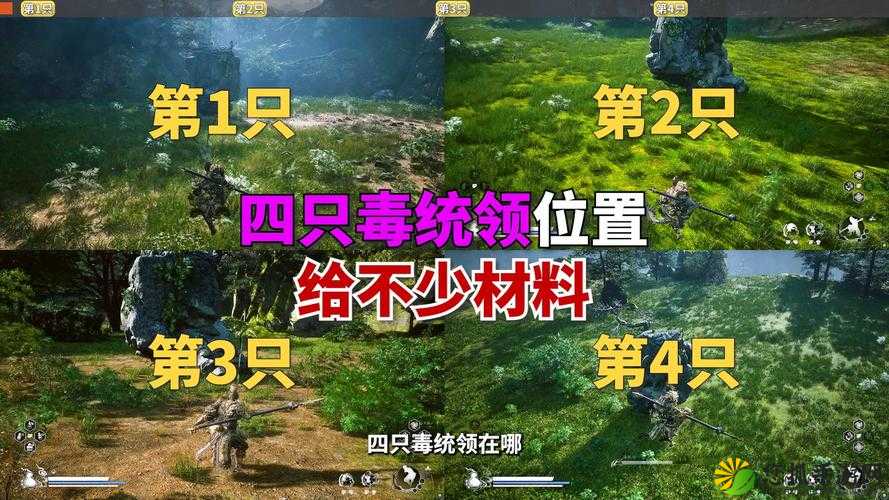 荒野行动生存攻略，全面解析逃离与躲避毒圈的高效技巧