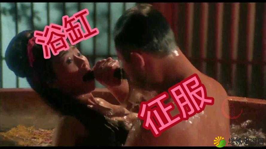 三年片在线观看免费观看大全一：无尽精彩，一次看个够