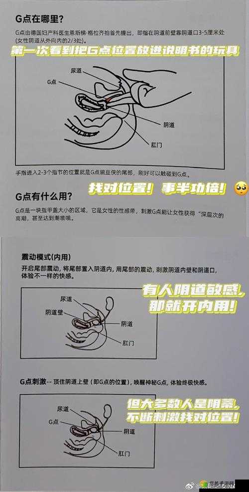 探讨 97 性爱：深入剖析其内涵与意义