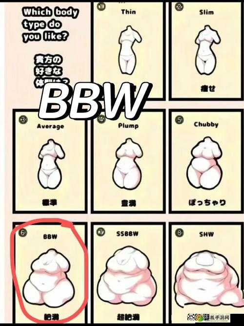 BBwBBwBBwBBw40 相关内容详细解析与探讨