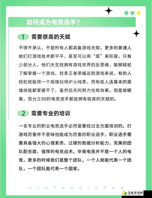 冠军电竞经理深度攻略，如何高效学习并提升选手技能