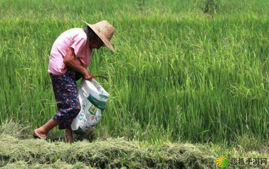 用心耕种妈妈那片肥沃的土地