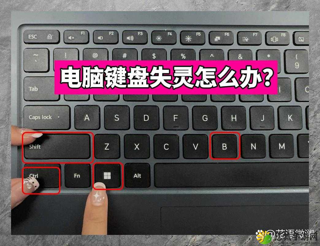 win7 安装后键盘鼠标不能用怎么办：全面解决方案与技巧