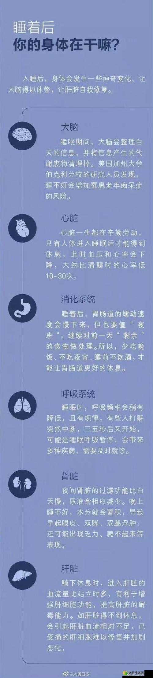 睡觉也放在身体里面好吗：关于此问题的深度思考与探讨