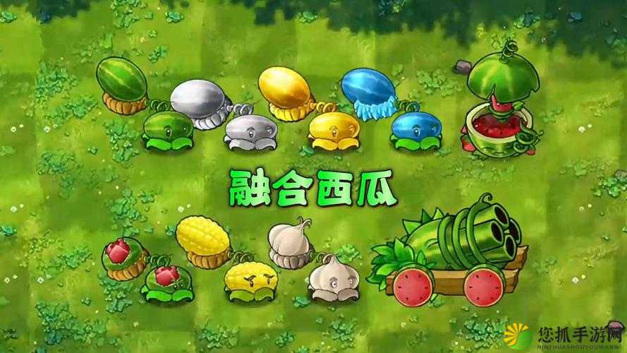 秋葵小蝌蚪榴莲富二代丝瓜 ios 版：探索别样趣味之旅