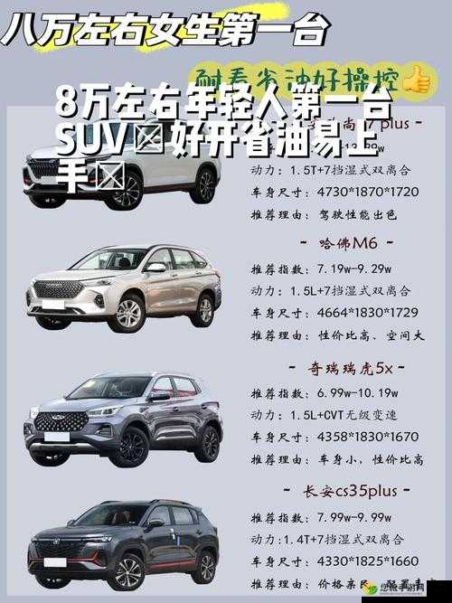 497799 欧洲版国产 SUV 全面评测：深度剖析其性能与亮点